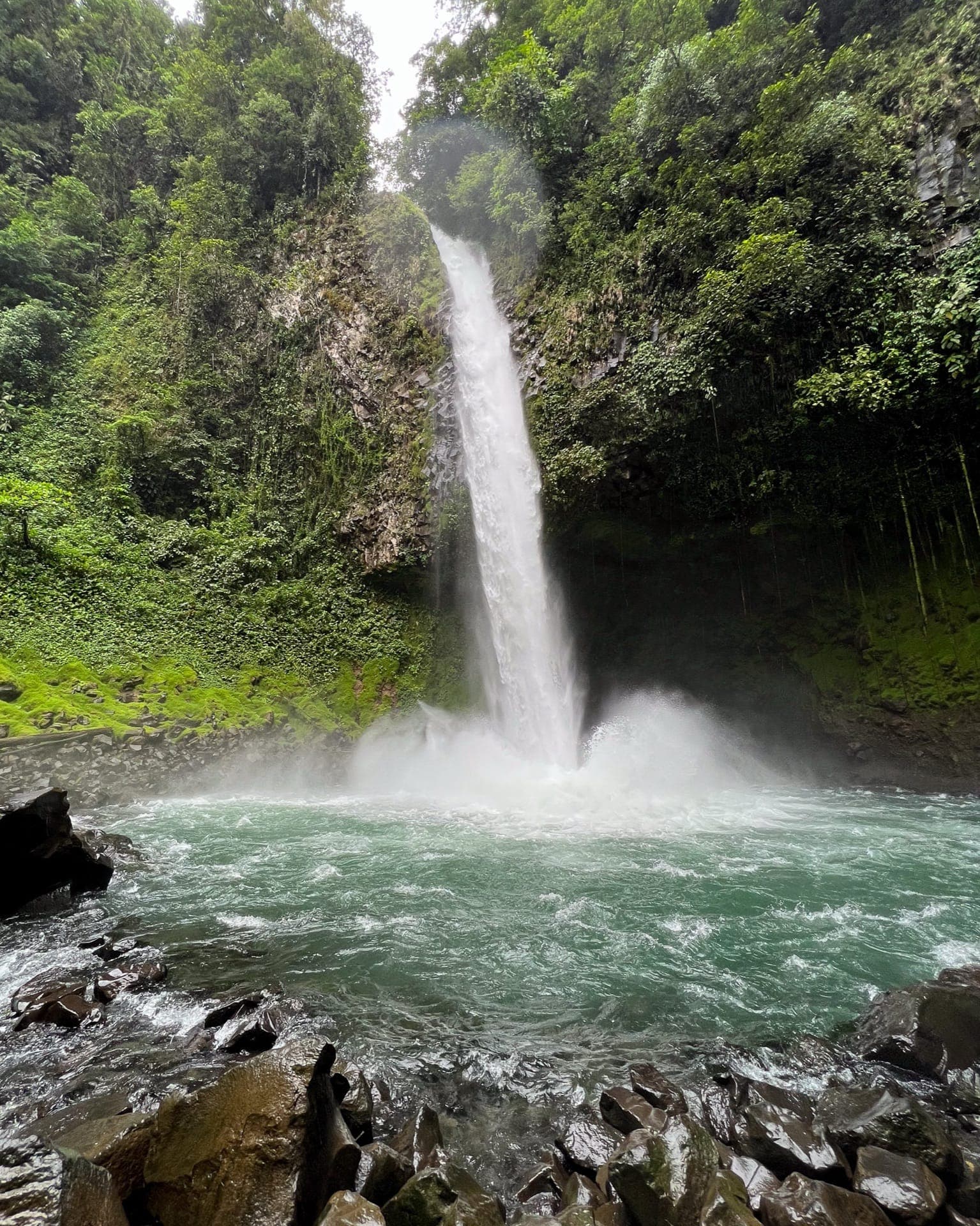 Nature in Costa Rica