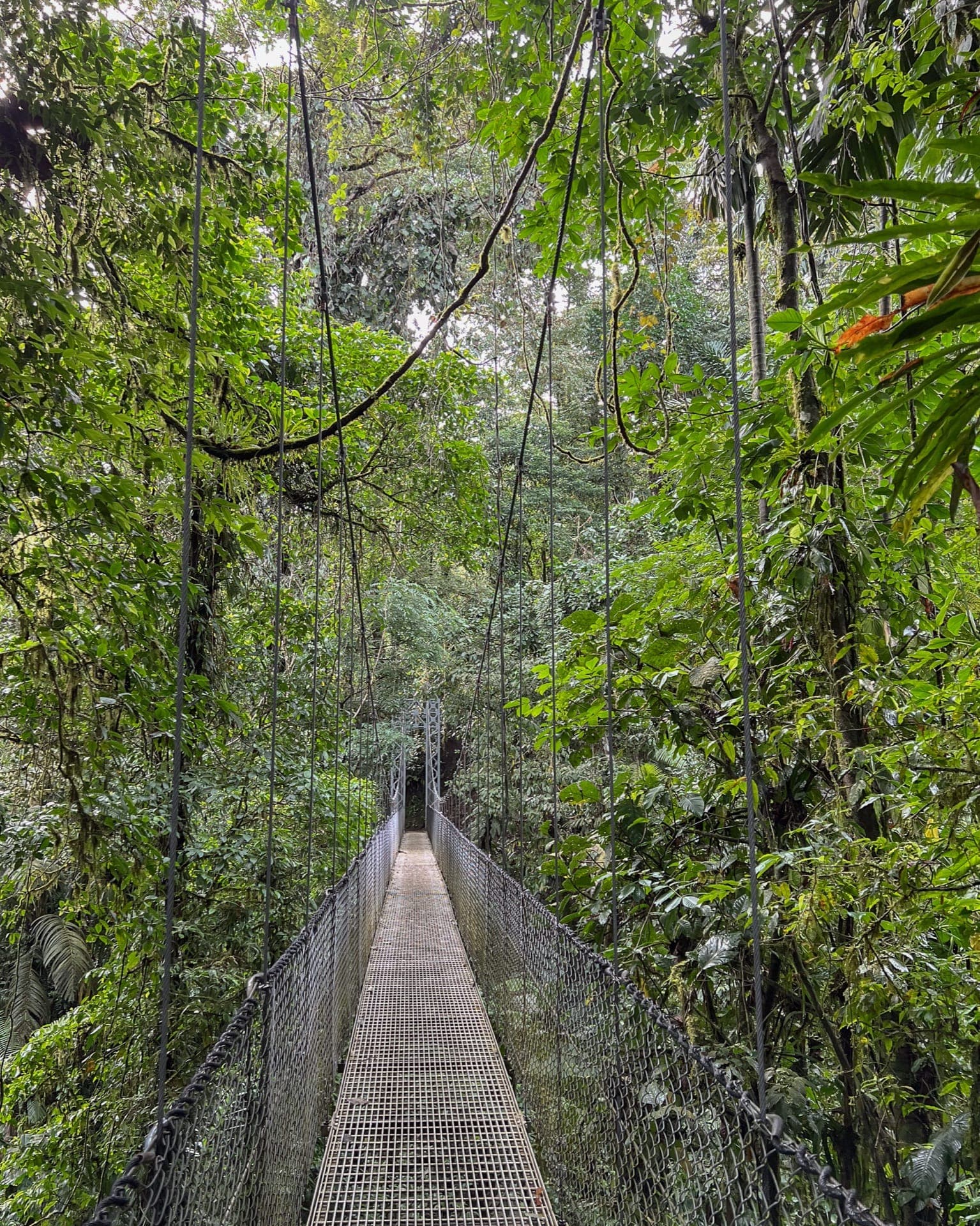 Eindrücke aus Costa Rica