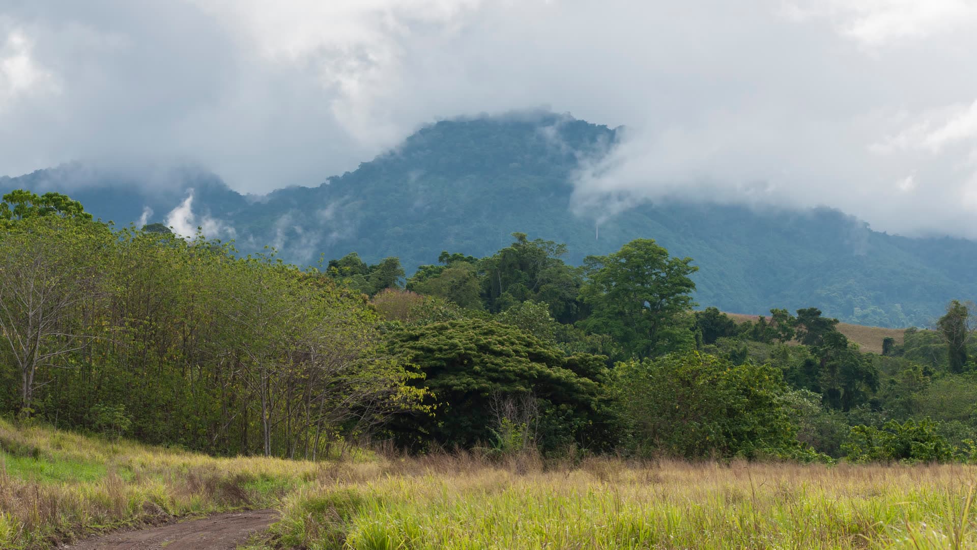 Feldweg vor wolkenverhangenen, bewaldeten Bergketten in Costa Rica