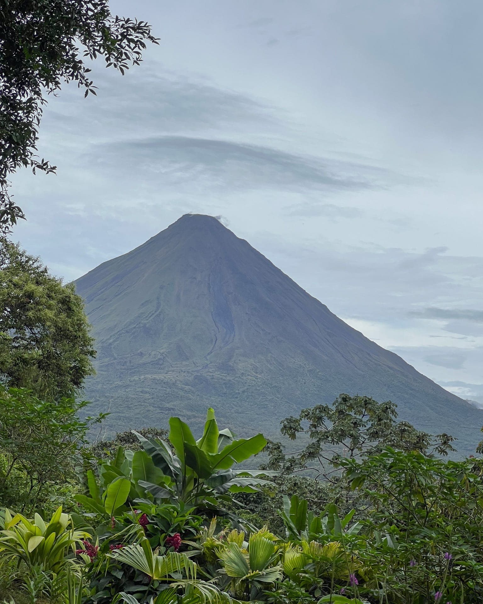 Regenwald in Costa Rica