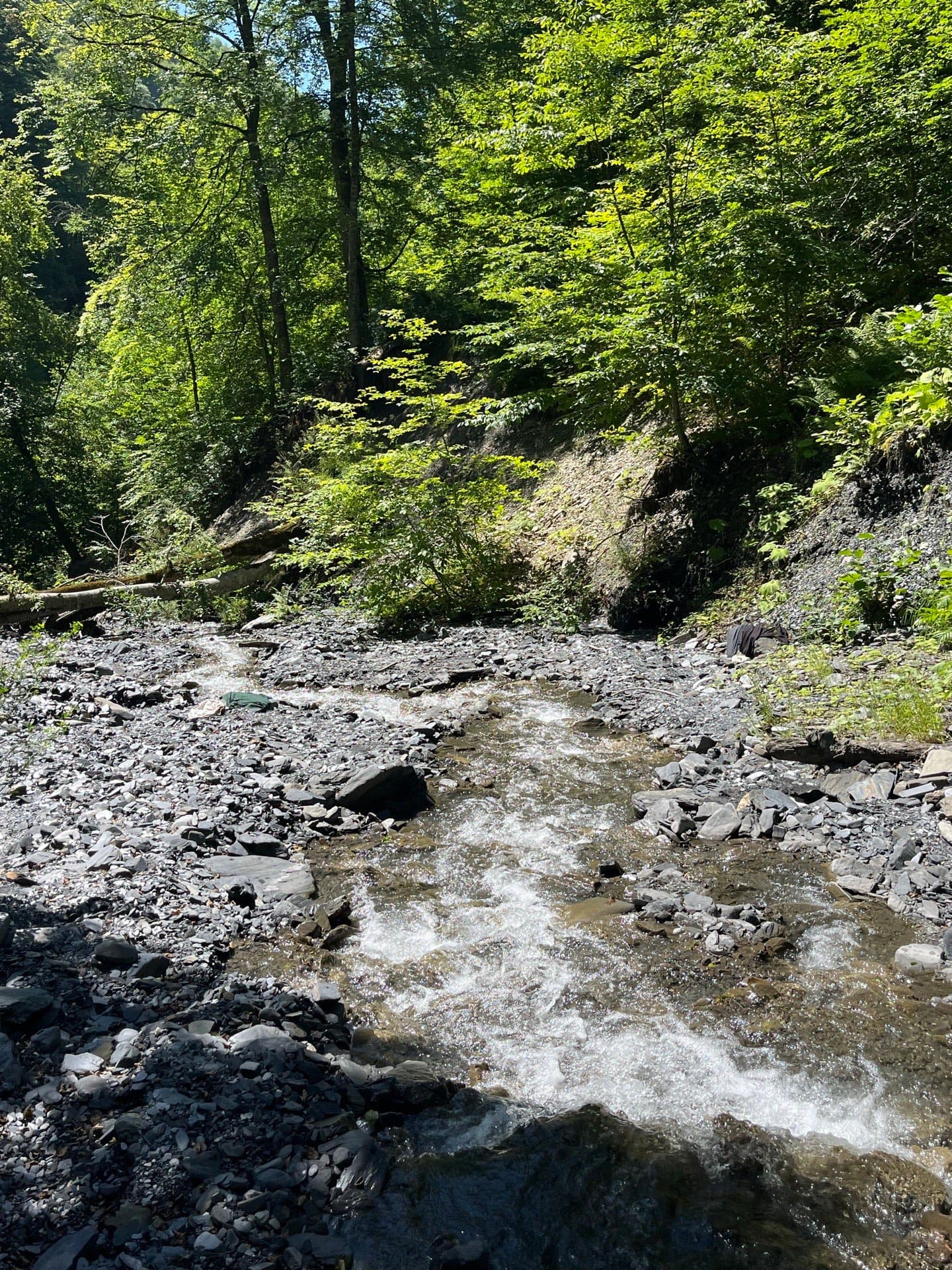 Mountain stream running over slate gravel in a sunlit deciduous forest