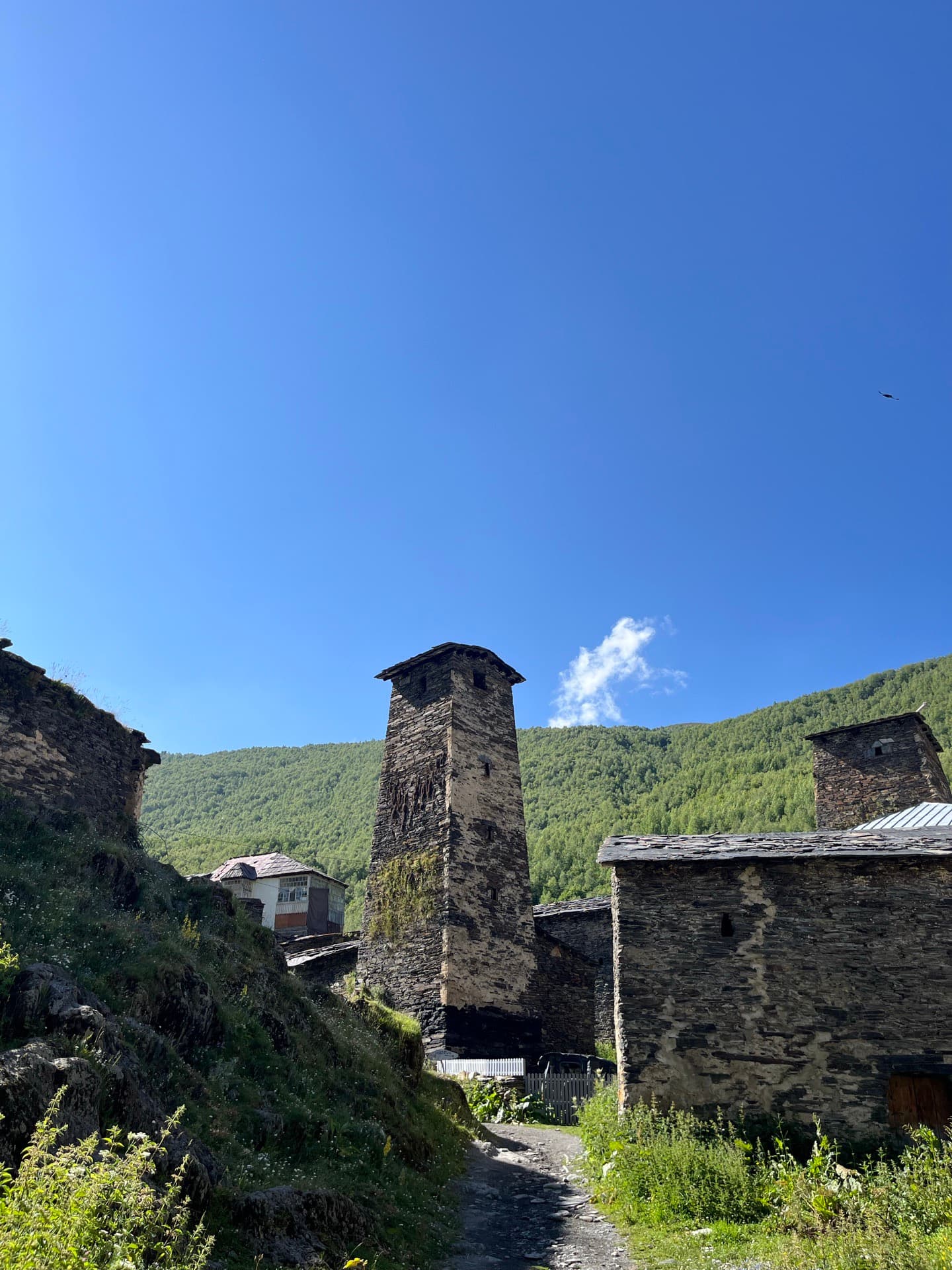 Svan defensive tower and slate houses in Ushguli, a forested slope behind