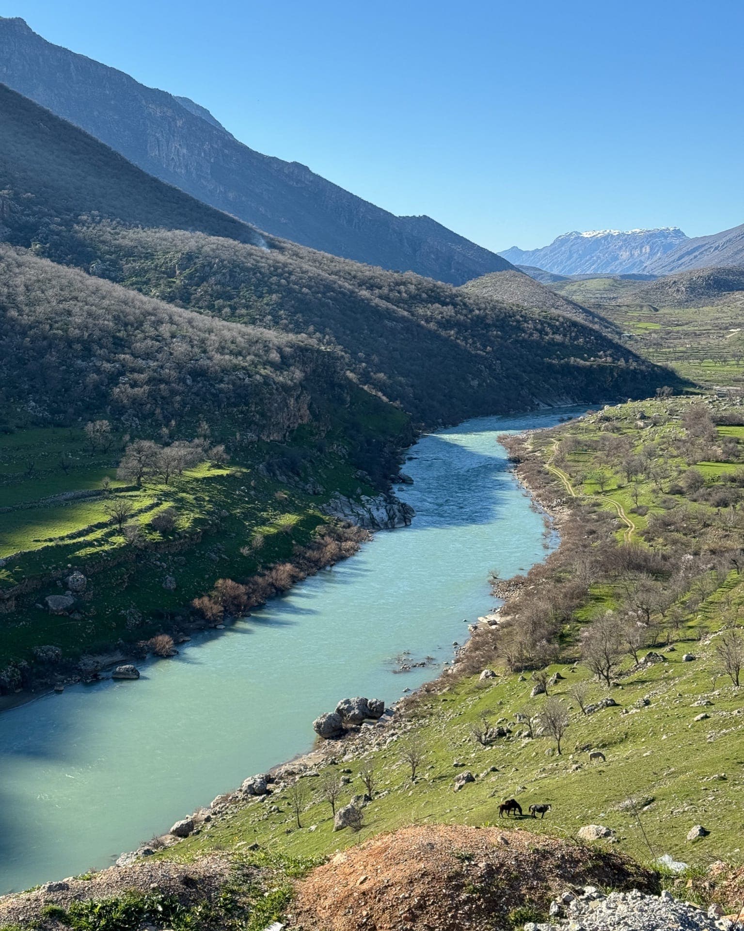 Natur in Kurdistan