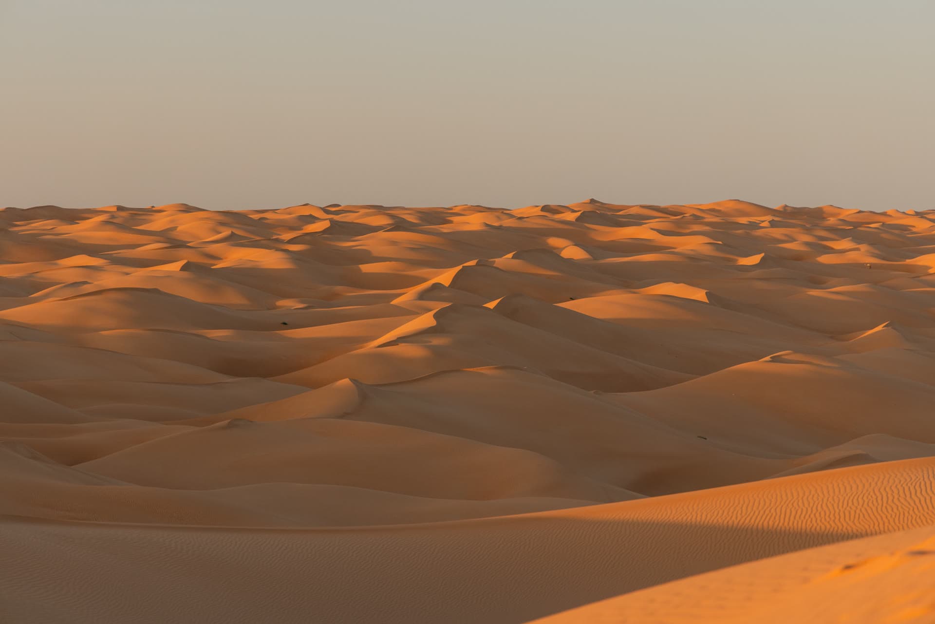 Sanddünen in der mauretanischen Wüste im Abendlicht