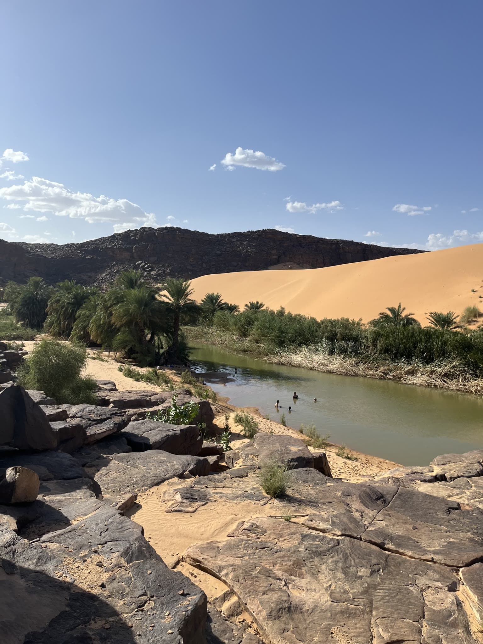 Oasis with date palms and people bathing in front of a tall sand dune