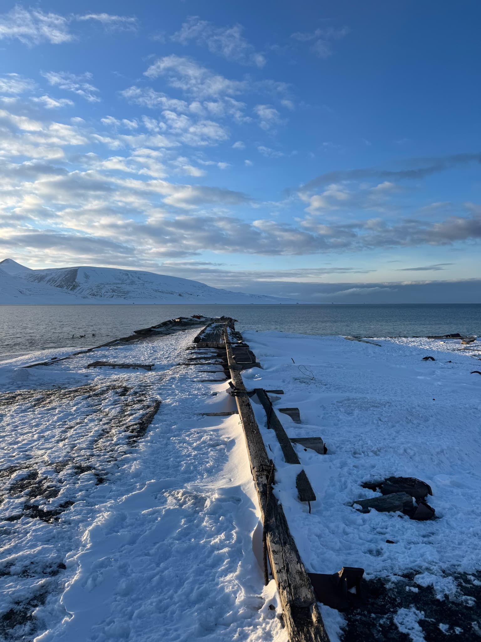 Remains of an old wooden loading pier in the snow on the shore of a fjord on Svalbard