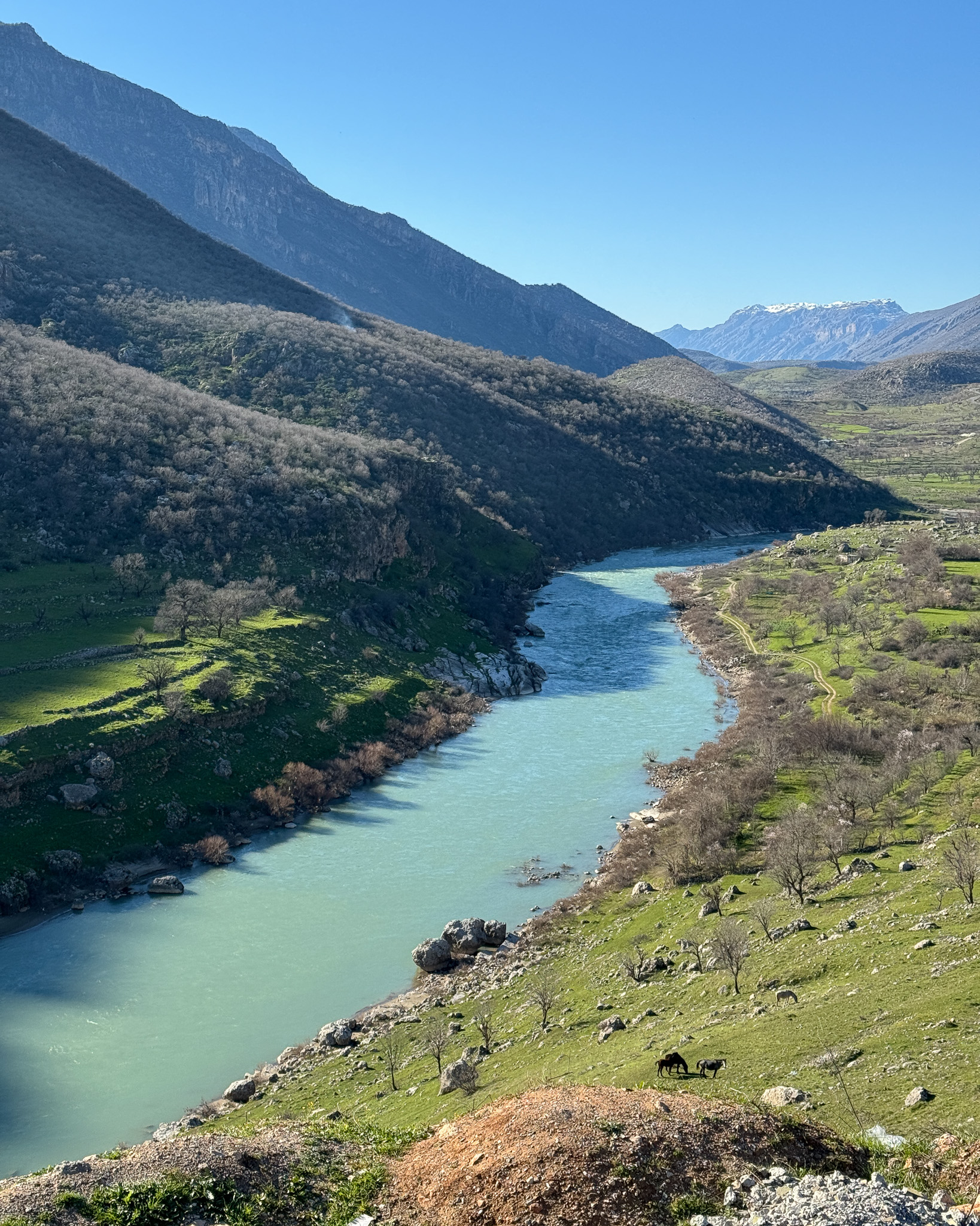 KURDISTAN